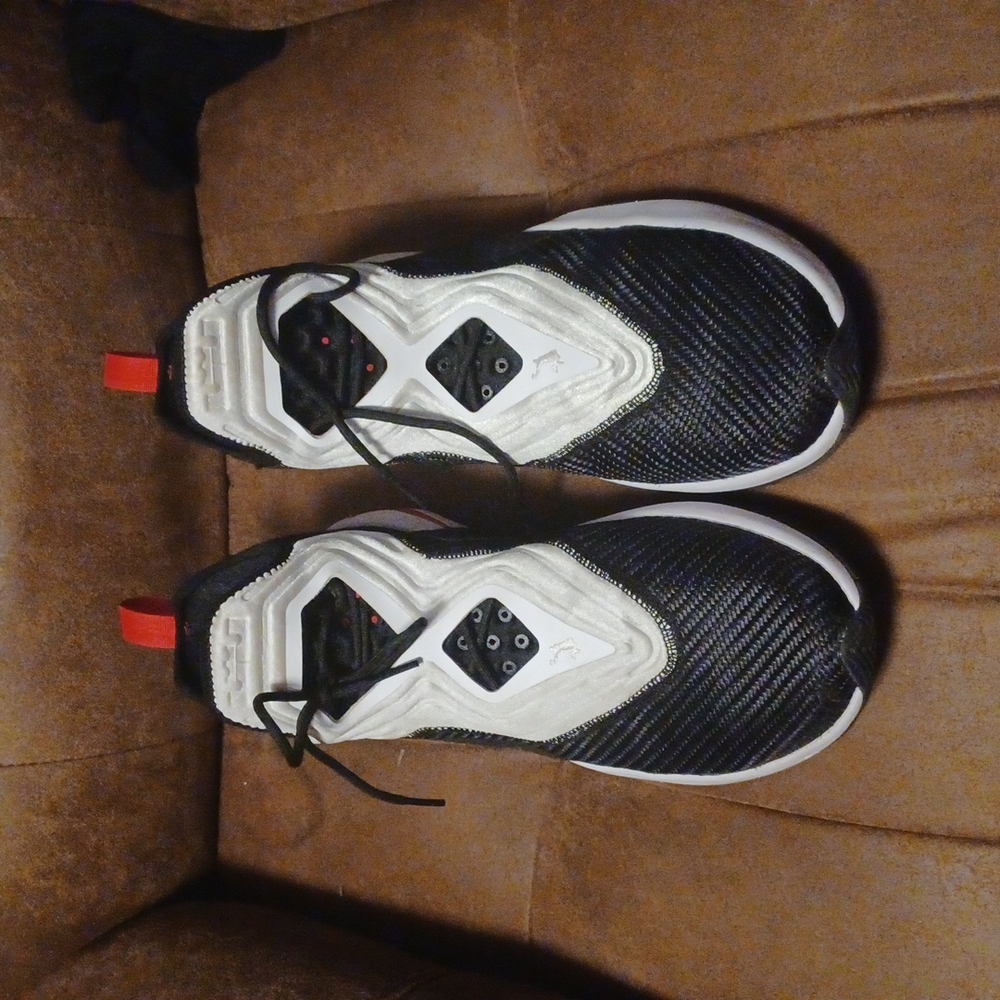 LeBron James Nikes